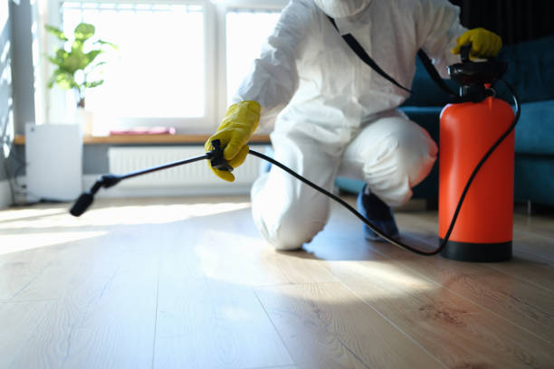 Reliable Odor Removal contractor in Port Lavaca, TX by Dulley Family Biohazard Services